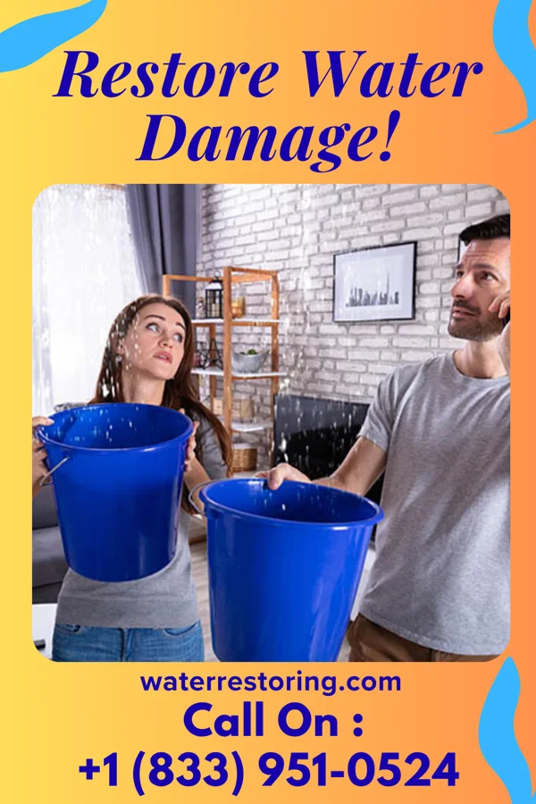 water restoration Elite Flood Damage Solutions Elco