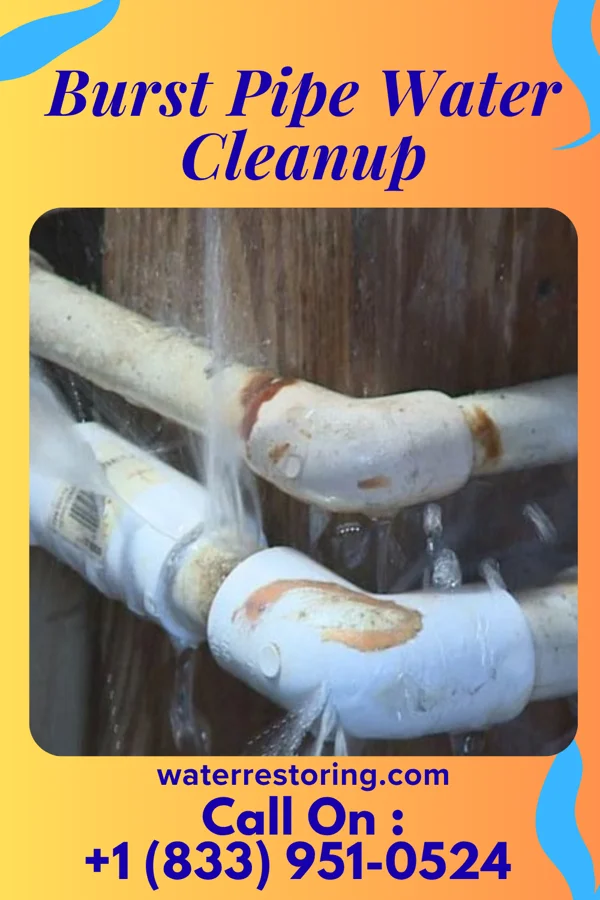 Burst Pipe Water Cleanup in Elco, PA
