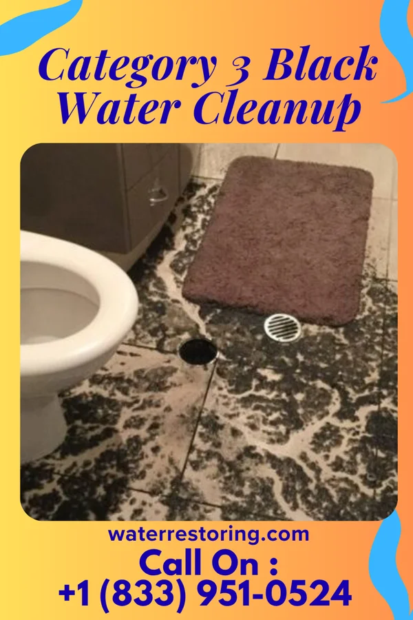 Category 3 Black Water Cleanup in Elco, PA