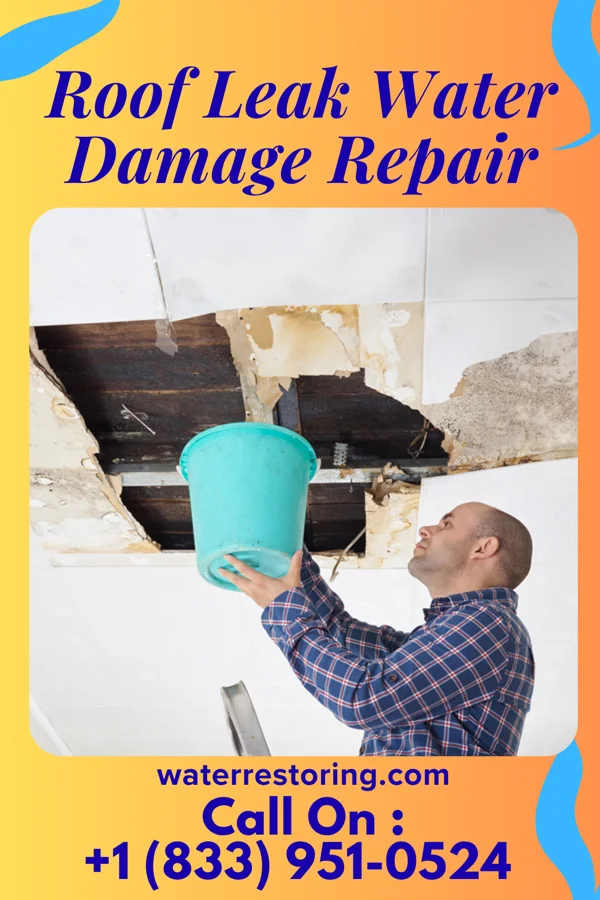 Roof Leak Water Damage Repair in Elco, PA