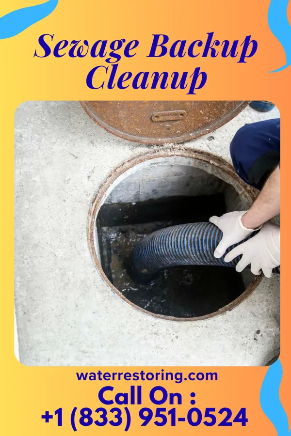 Sewage Backup Cleanup in Elco, PA