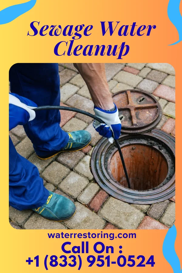 Sewage Water Cleanup in Elco, PA