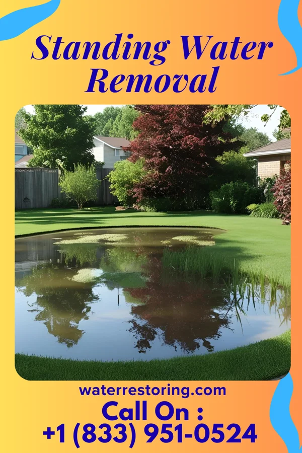 Standing Water Removal in Elco, PA